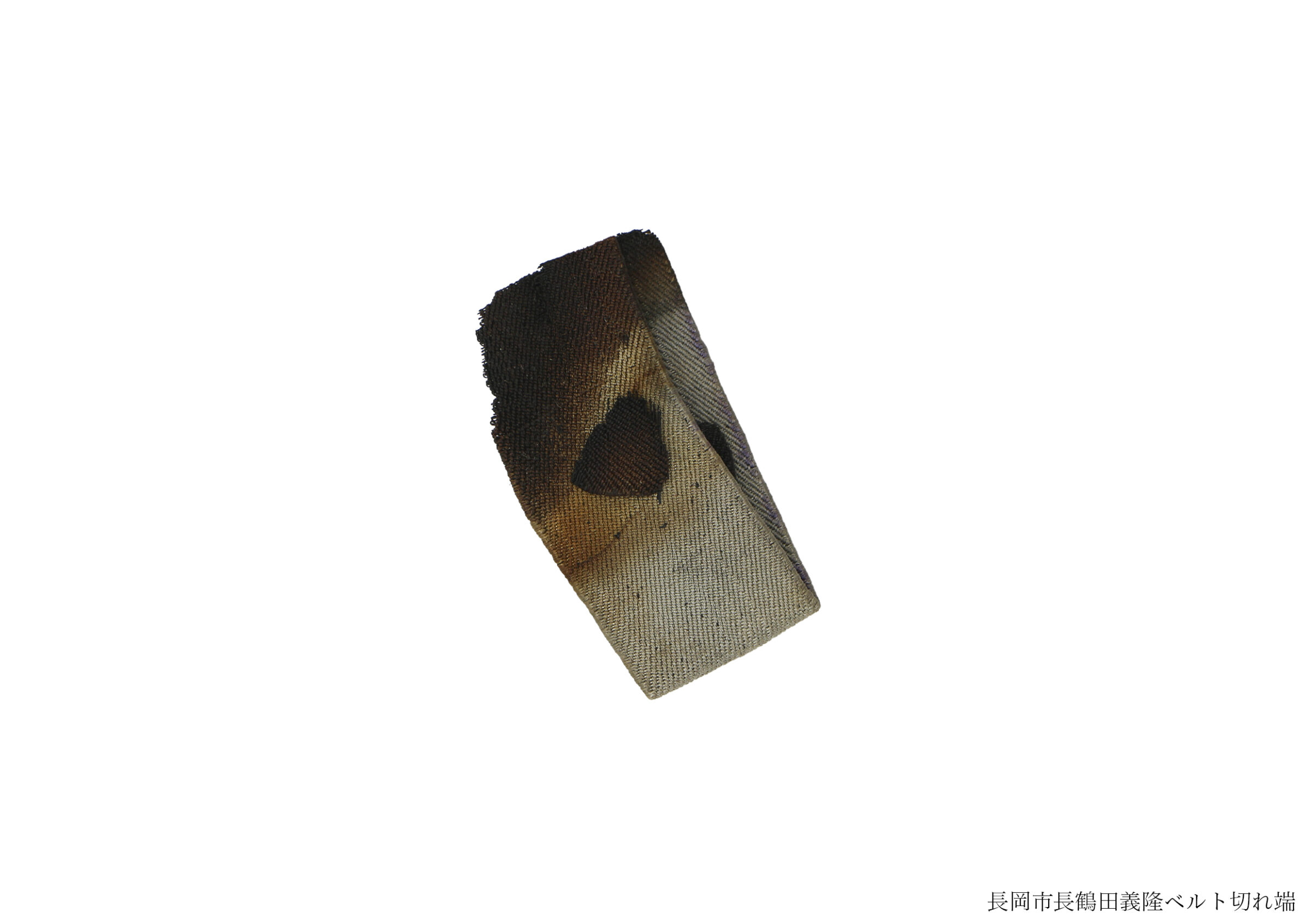 被災資料(全資料)